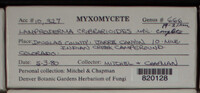 Image Associated With the Occurence